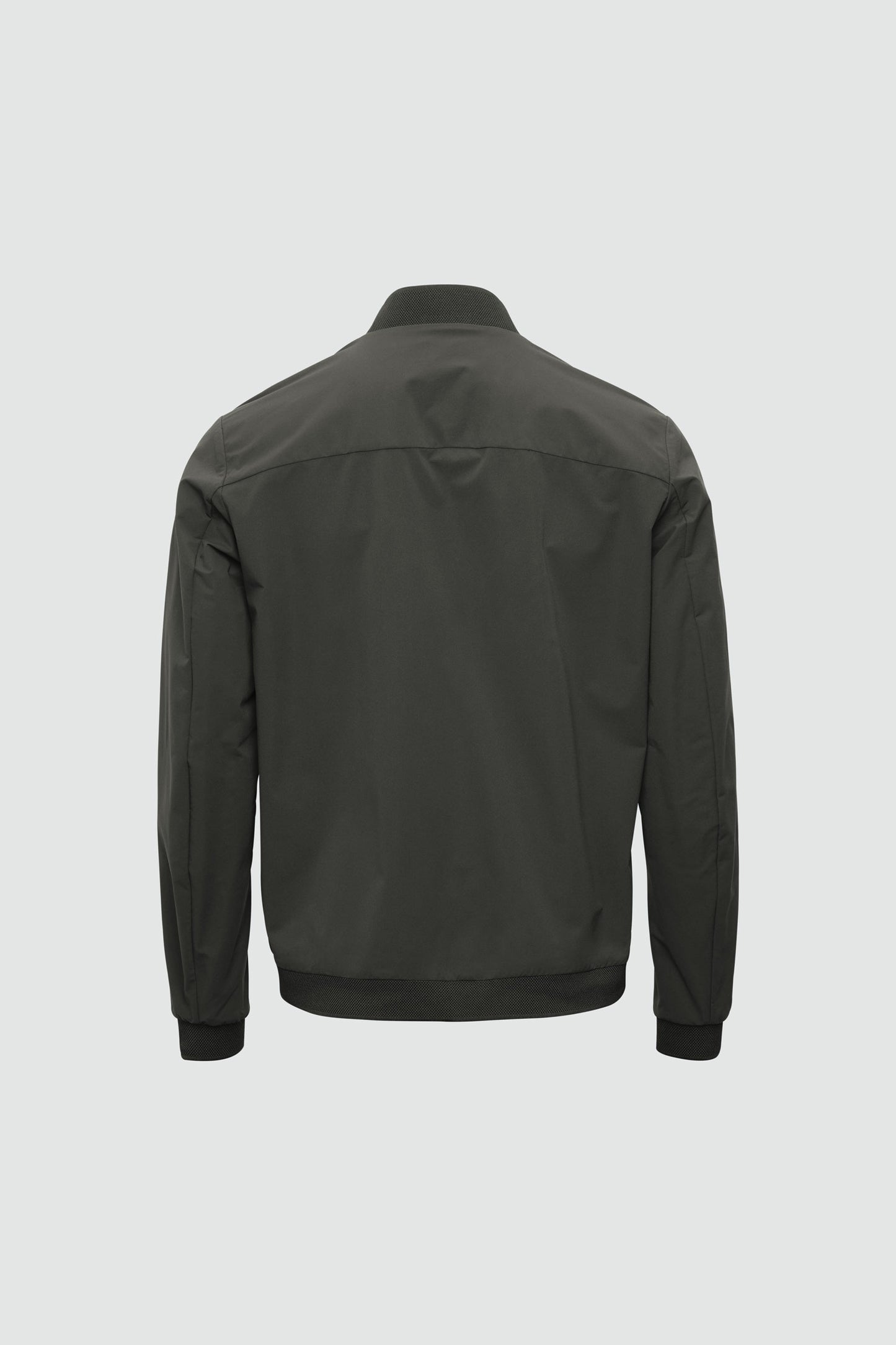 Campo — Olive foncé