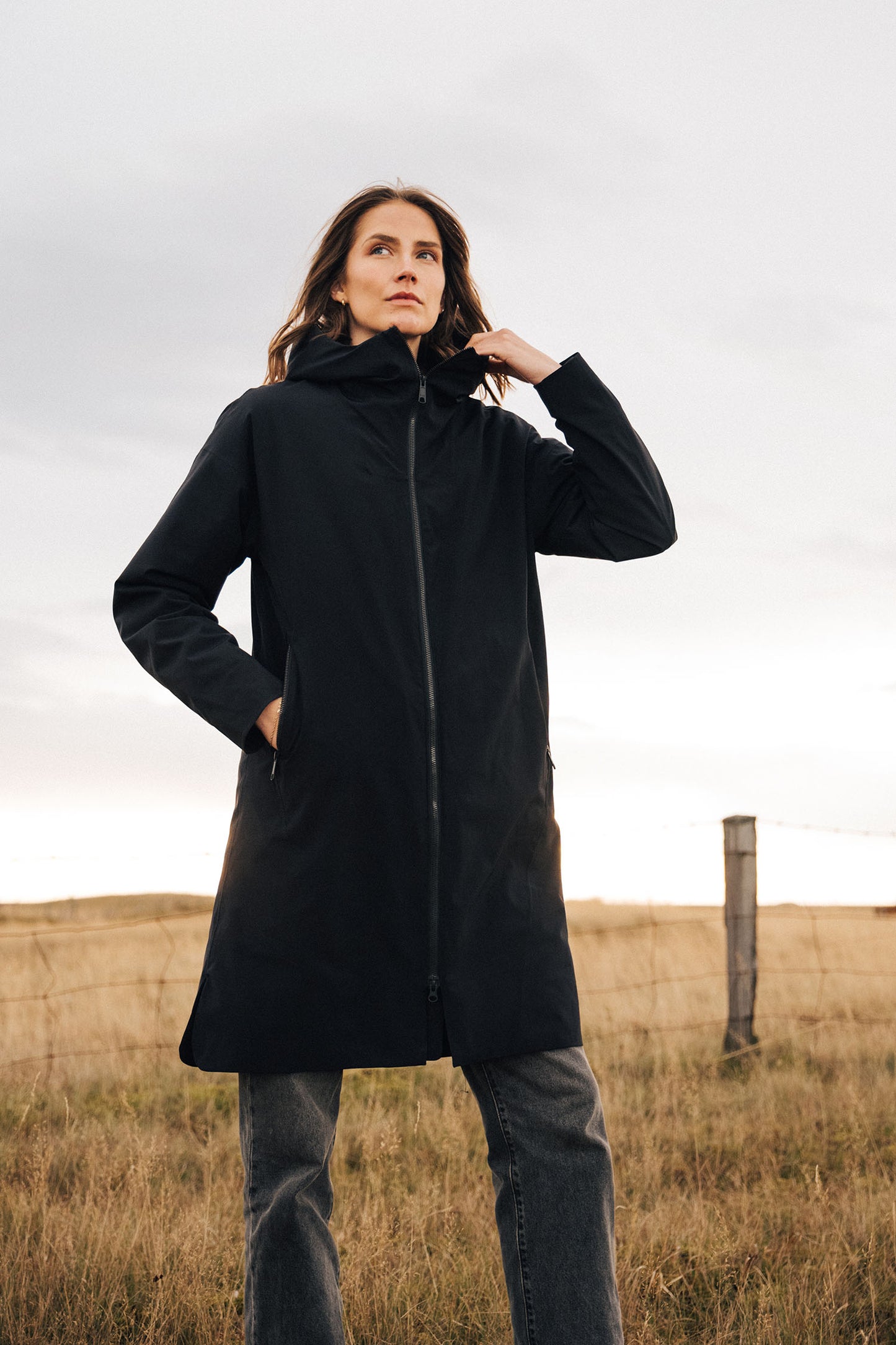 Aurore — Bleu nuit