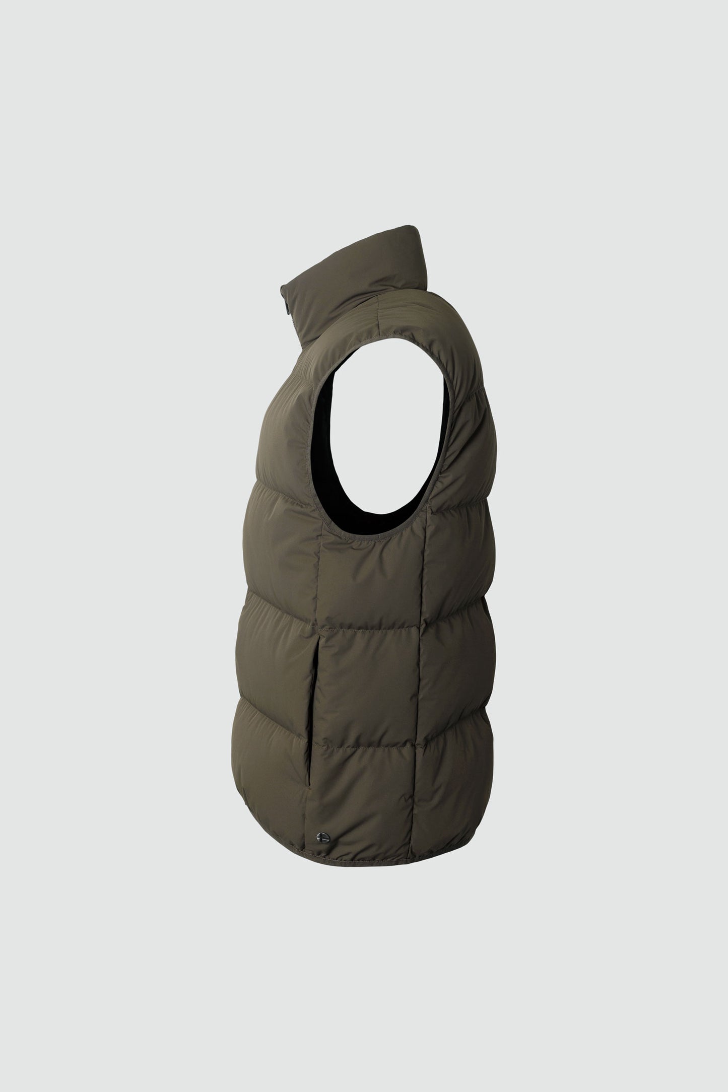 Script — Dark Olive