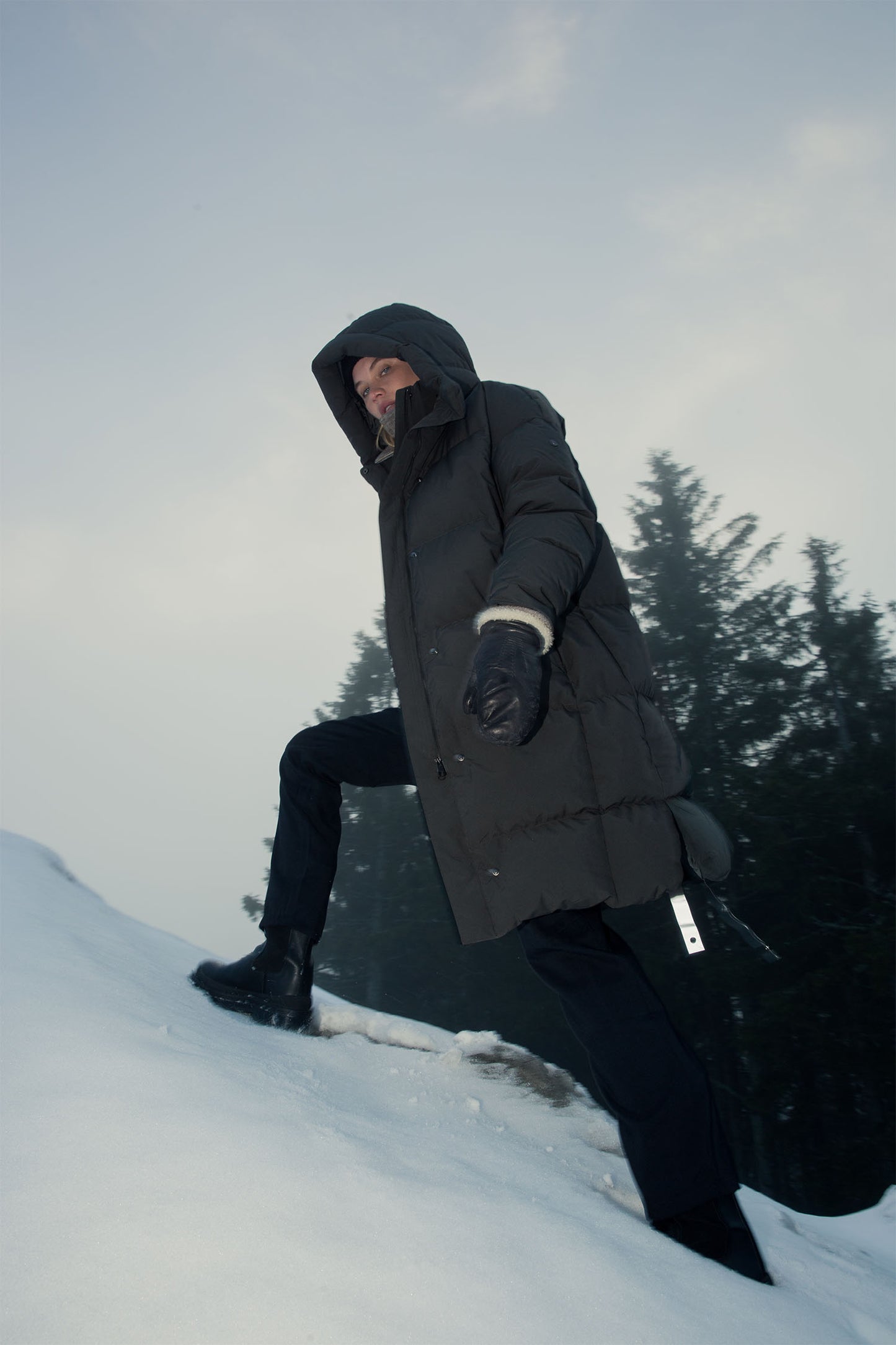 Swell II — Major Brown