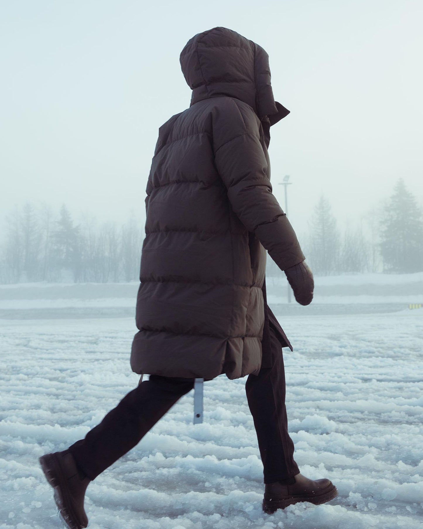 Swell III — Major Brown