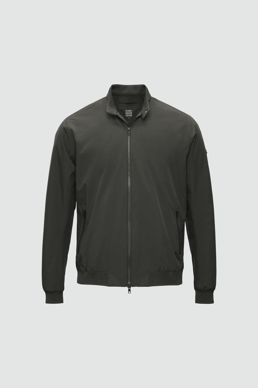 Plain II — Dark Olive