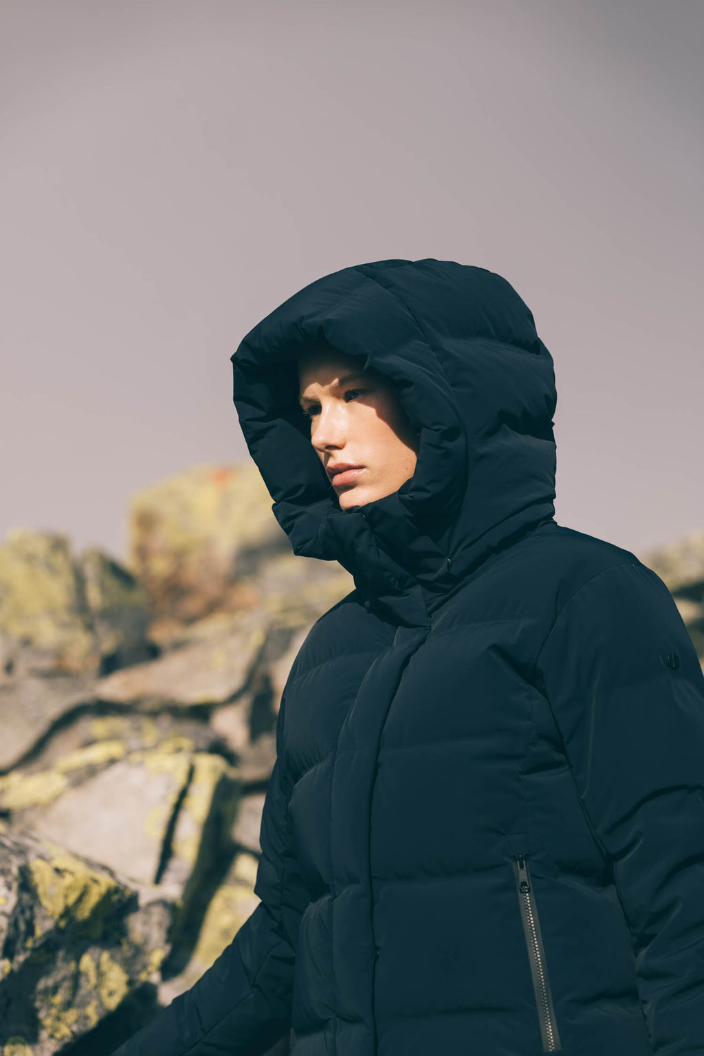 Echo Apex — Navy
