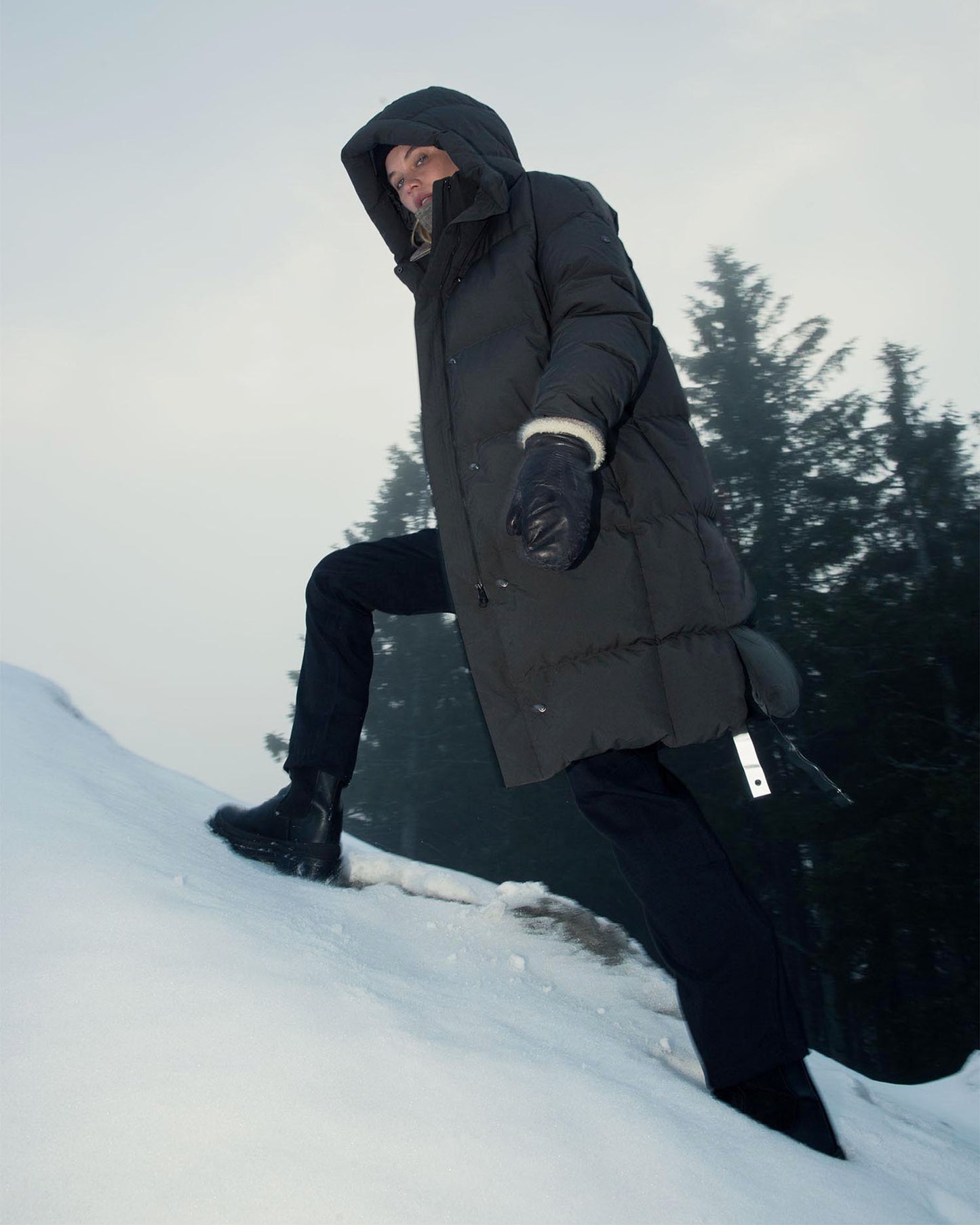 Swell III — Major Brown