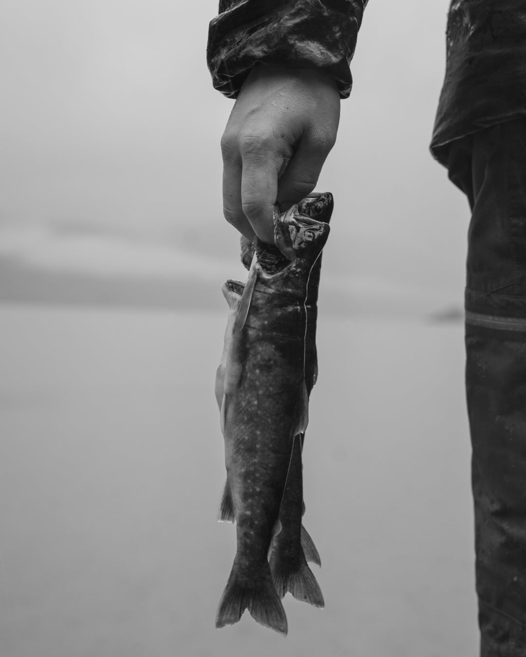 Black and white close-up of a hand holding two fish against a grey lake